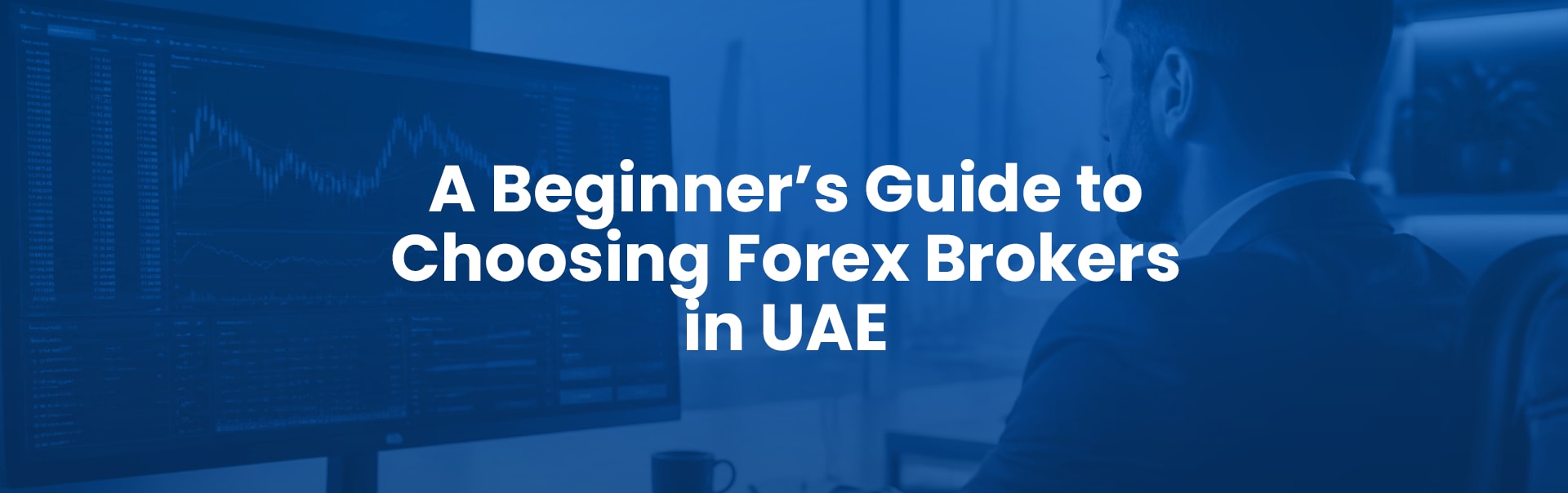 A Beginner’s Guide to Choosing Forex Brokers in UAE