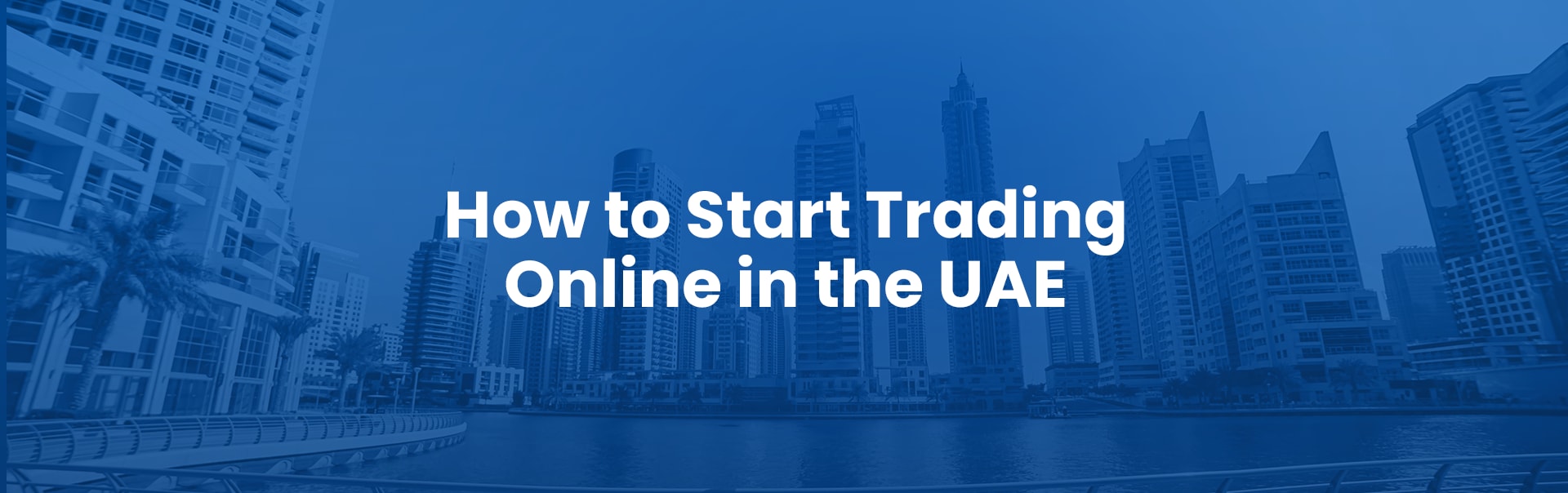 How to Start Trading Online in the UAE: A Step-by-Step Guide for Beginners